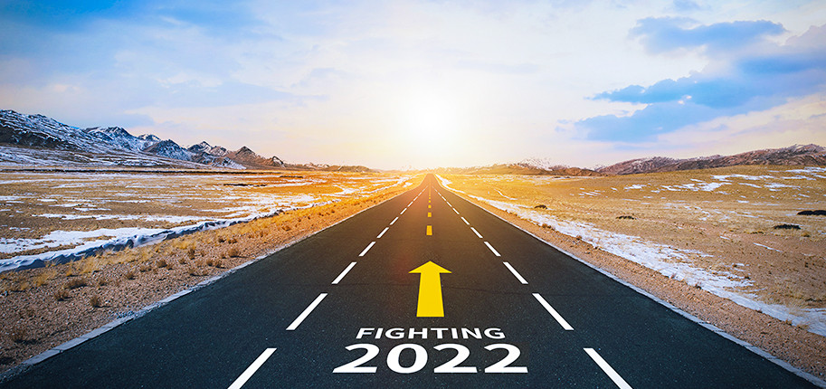 2021年世界各國(guó)電動(dòng)車(chē)市場(chǎng)總結(jié)分析及2022年后各品牌規(guī)劃